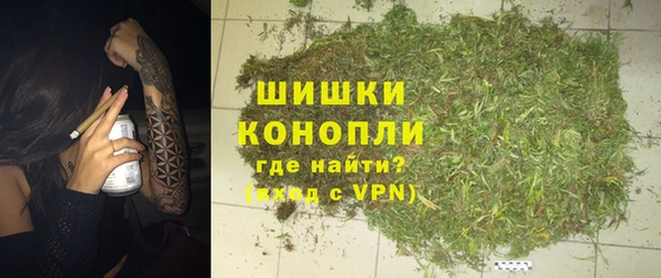 спиды Арсеньев