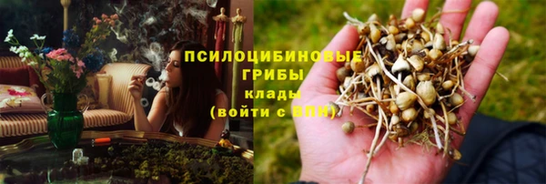 спиды Арсеньев