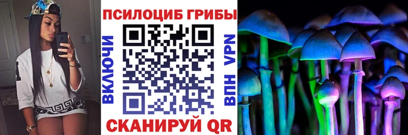 Галлюциногенные грибы Magic Shrooms  где найти наркотики  это какой сайт  Суджа 